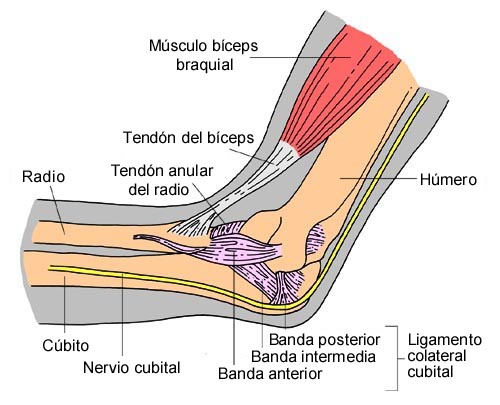 Imagen
